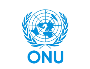 ONU copie